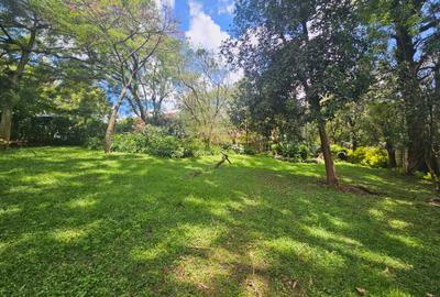 4 Bed House with En Suite in Rosslyn - 3