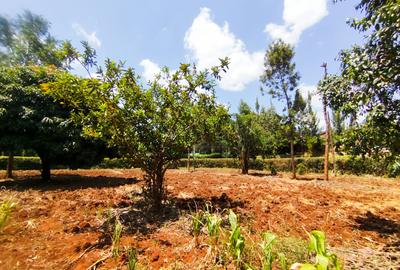 Land in Kiambu Road - 4