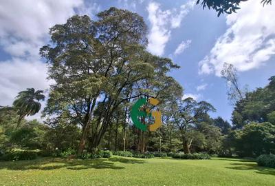 Land in Lower Kabete - 2