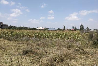 0.25 ac Land in Ruai