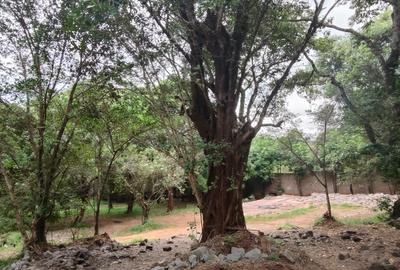 Residential Land at Hardy