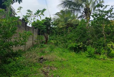 8 ac Land at Vipingo - 3