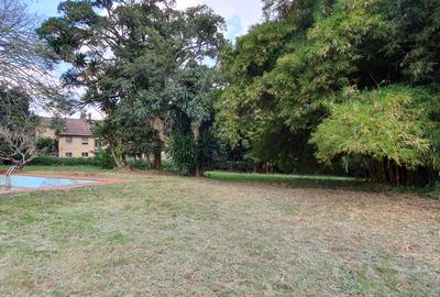 0.8 ac Commercial Property with Fibre Internet at Peponi Rd - 2