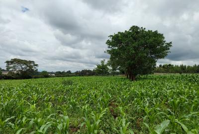 Residential Land at Runda Road