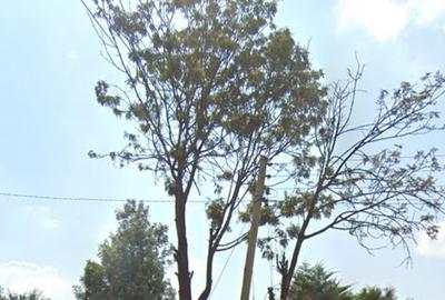 0.25 ac Land at Ngong Road