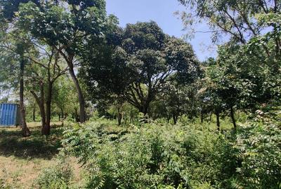 0.25 ac Land in Diani