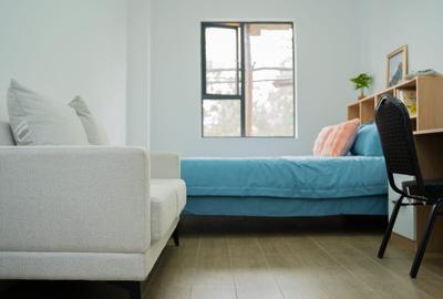 Serviced Studio Apartment with En Suite in Juja - 4