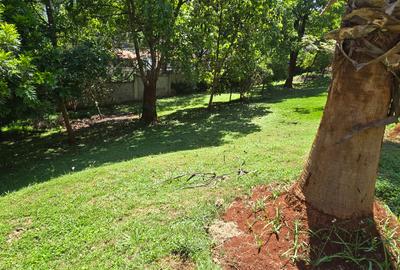 Commercial Property with Backup Generator at Westgate Area - 4