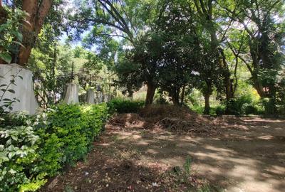 0.85 ac Land in Lavington