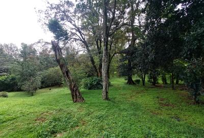 Land at Lavington