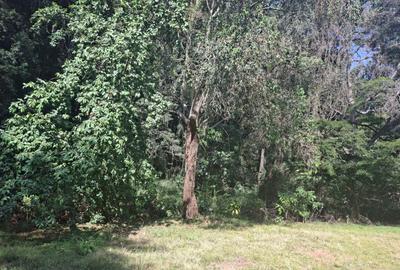0.75 ac Residential Land at Off Naivasha Avenue