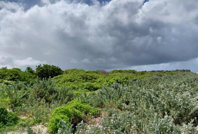 12 ac Land in Watamu - 2