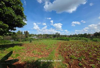5.7 ac Land in Runda - 4