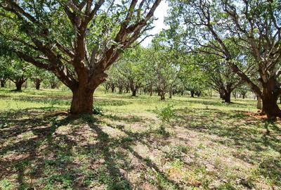 6 ac Land at Mtwapa