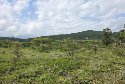 0.125 ac Land at Sakuda - 2