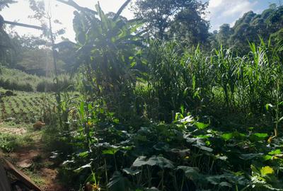 2.5 ac Land in Kitisuru