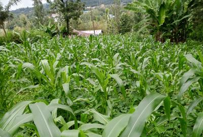 0.25 ac Residential Land in Ngong