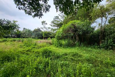 1 ac Land in Kitisuru