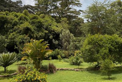 3 Bed House with En Suite in Thindigua - 3