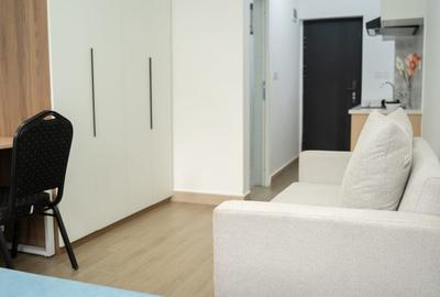 Furnished Studio Apartment with Gym in Juja - 4