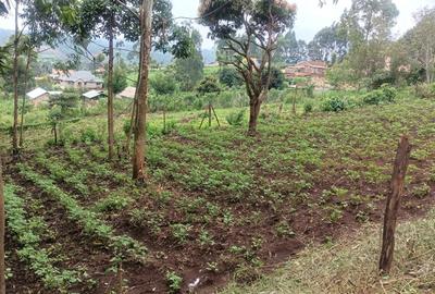 Residential Land in Rironi