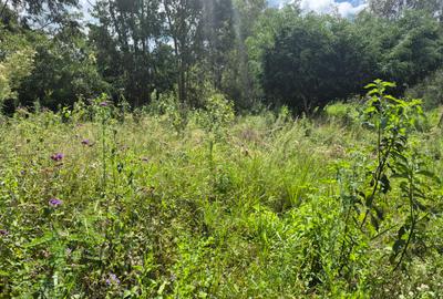 Residential Land in Karen