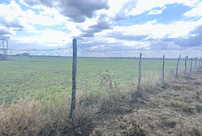 Residential Land in Nanyuki