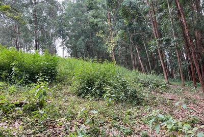 Residential Land at Nyari Estate