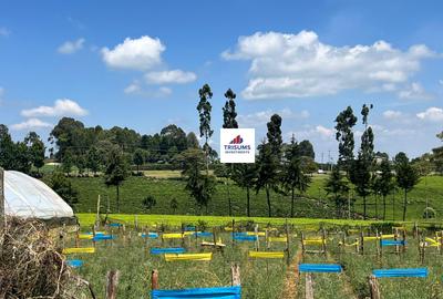 16.5 ac Land in Tigoni