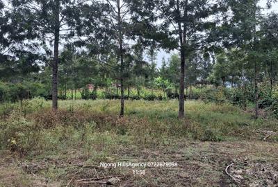 Residential Land in Ongata Rongai