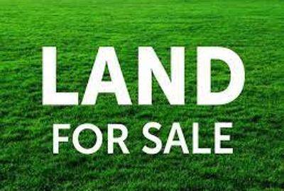0.25 ac Commercial Land at Sports Road