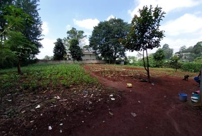 Residential Land at Kirawa Road - 3