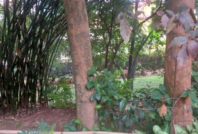 0.65 ac Residential Land at Off Mbaazi Avenue - 3