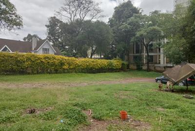 Commercial Property at Naivasha Road