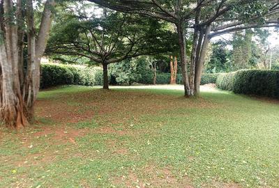 Residential Land in Lavington - 3
