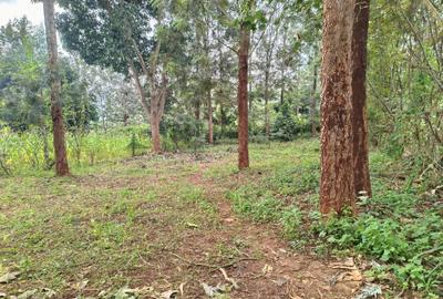 0.125 ac Land at Ruui Kirigiti