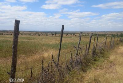 23 ac Land in Isinya - 3