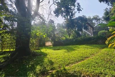 0.8 ac Residential Land at Lavington - 4