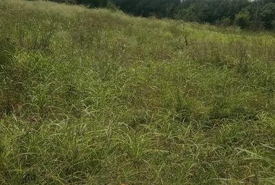 Residential Land at Utawala