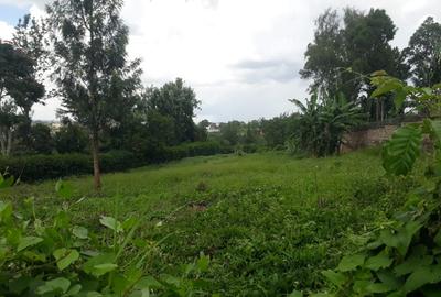 0.5 ac Residential Land in Thome