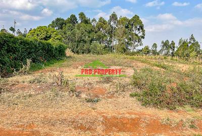 0.125 ac Residential Land in Kamangu - 4