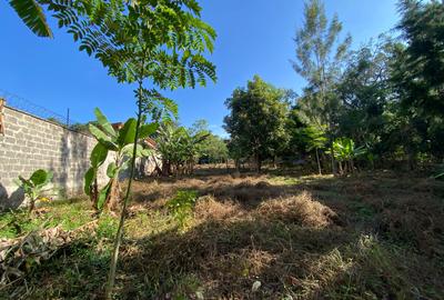 0.587 ac Land at Shanzu Road