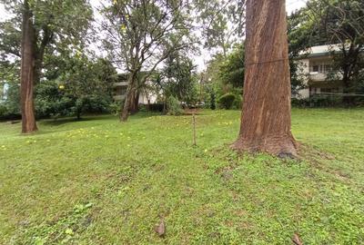1 Bed Apartment with En Suite at Laikipia Road