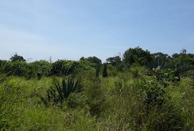 1,012 m² Residential Land in Vipingo