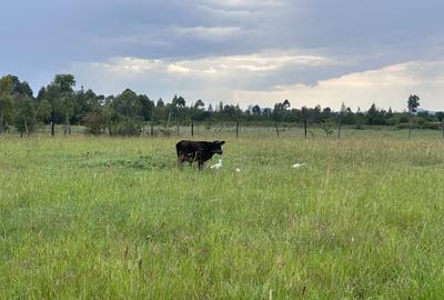 Land in Nanyuki