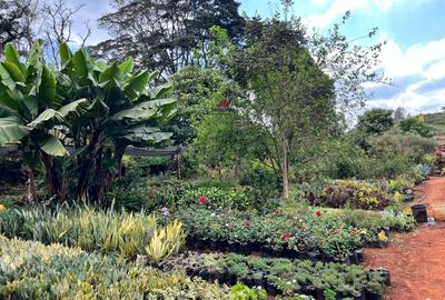 1 ac Land in Nyari - 4