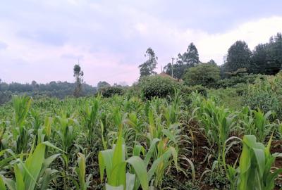 Residential Land in Tigoni