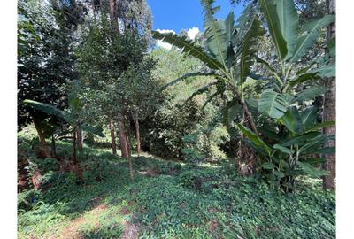 0.6 ac Land at Kitisuru Road - 2