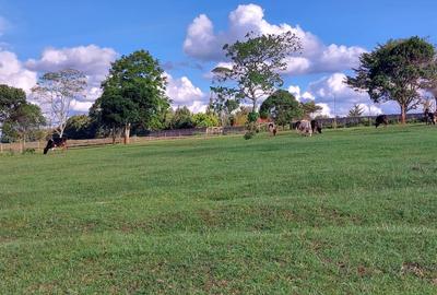 21 ac Land in Tigoni