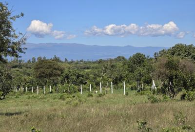 30,000 m² Residential Land at Aistrip